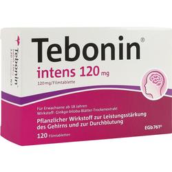 TEBONIN INTENS 120MG